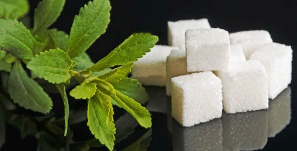 Stevia para las personas con diabetes2