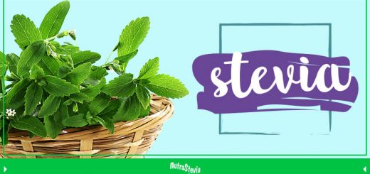 stevia el endulzante de origen natural